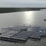 У Нідерландах мають намір побудувати сонячну станцію на 15 плаваючих островах